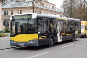 DSC_0033.JPG