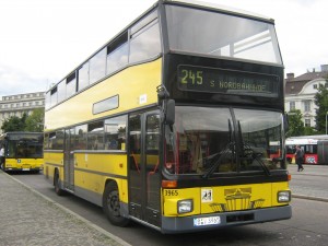 D Busse 015.jpg