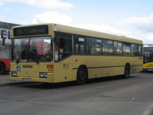 D Busse 006.jpg