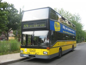 Busse 011.jpg