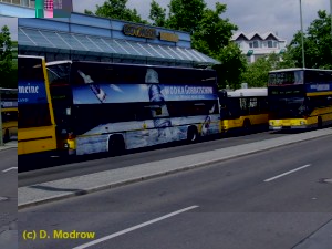 Bild (336).JPG