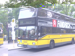 Bild 465.jpg