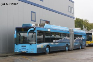 Kopie von IMG_2248.jpg