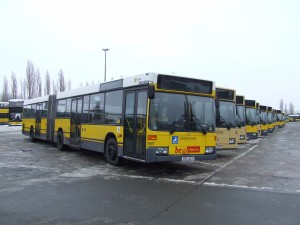 DSCF0941.JPG