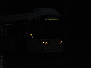 gut 032.JPG