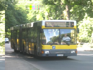 IMG_2811.JPG