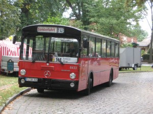 12.JPG