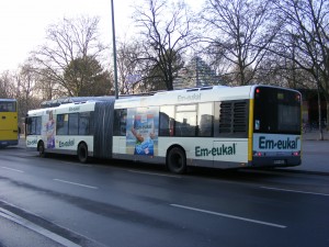 DSCF2246.JPG