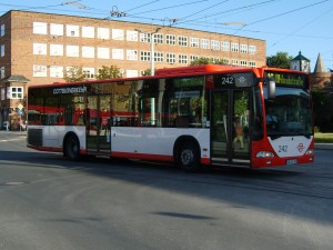 D Cottbus Bus ED.JPG