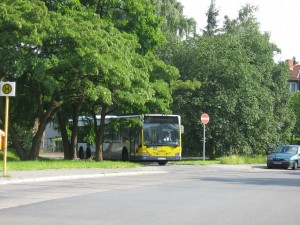 IMG_1959.JPG