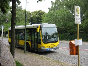IMG_1978.JPG